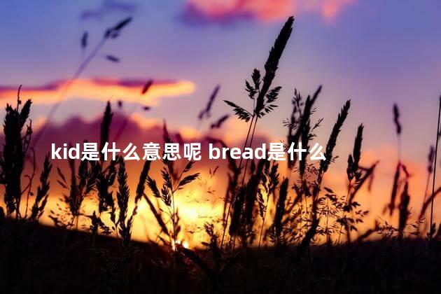 kid是什么意思呢 bread是什么意思